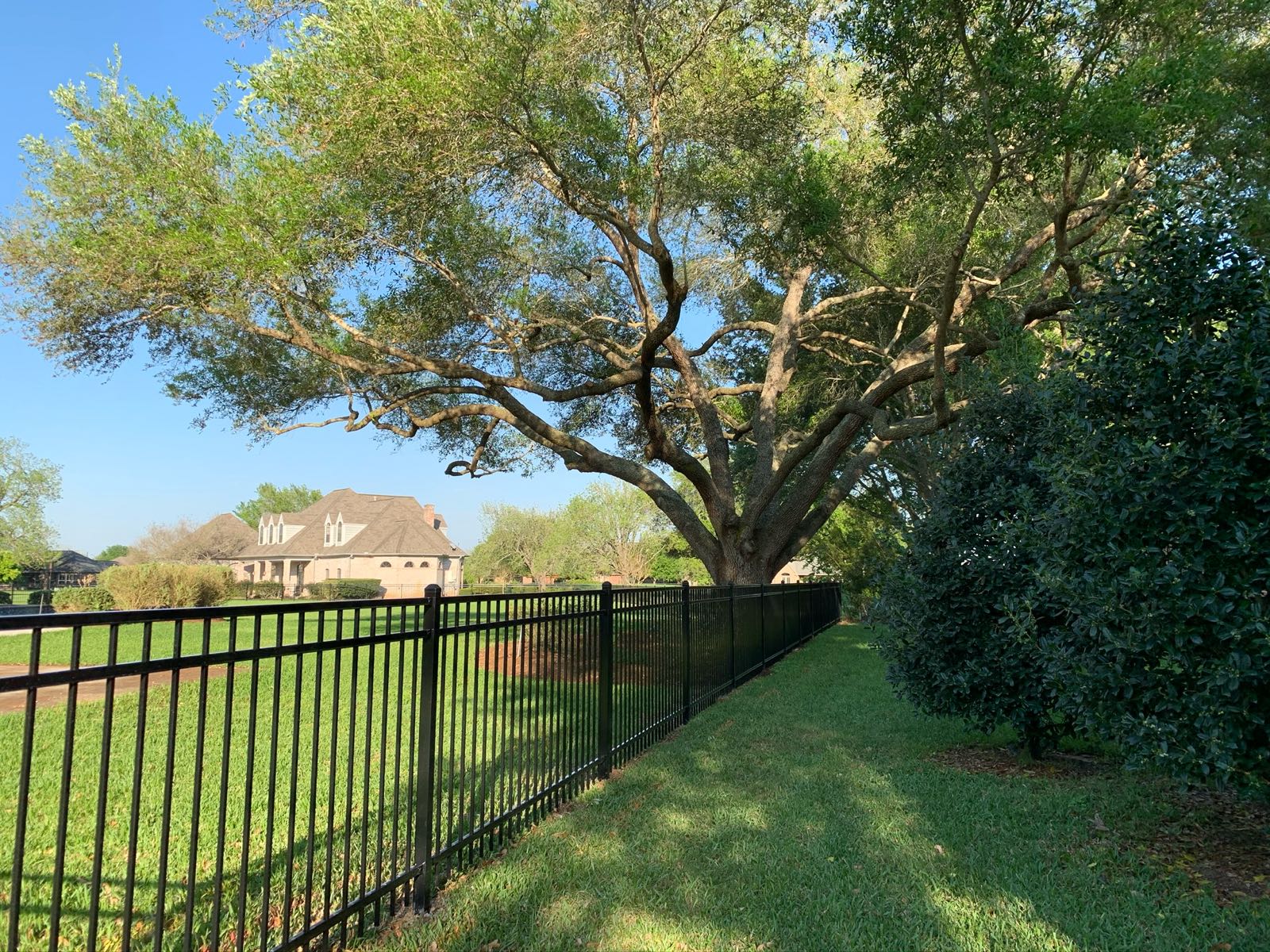 Iron fencing photo 2