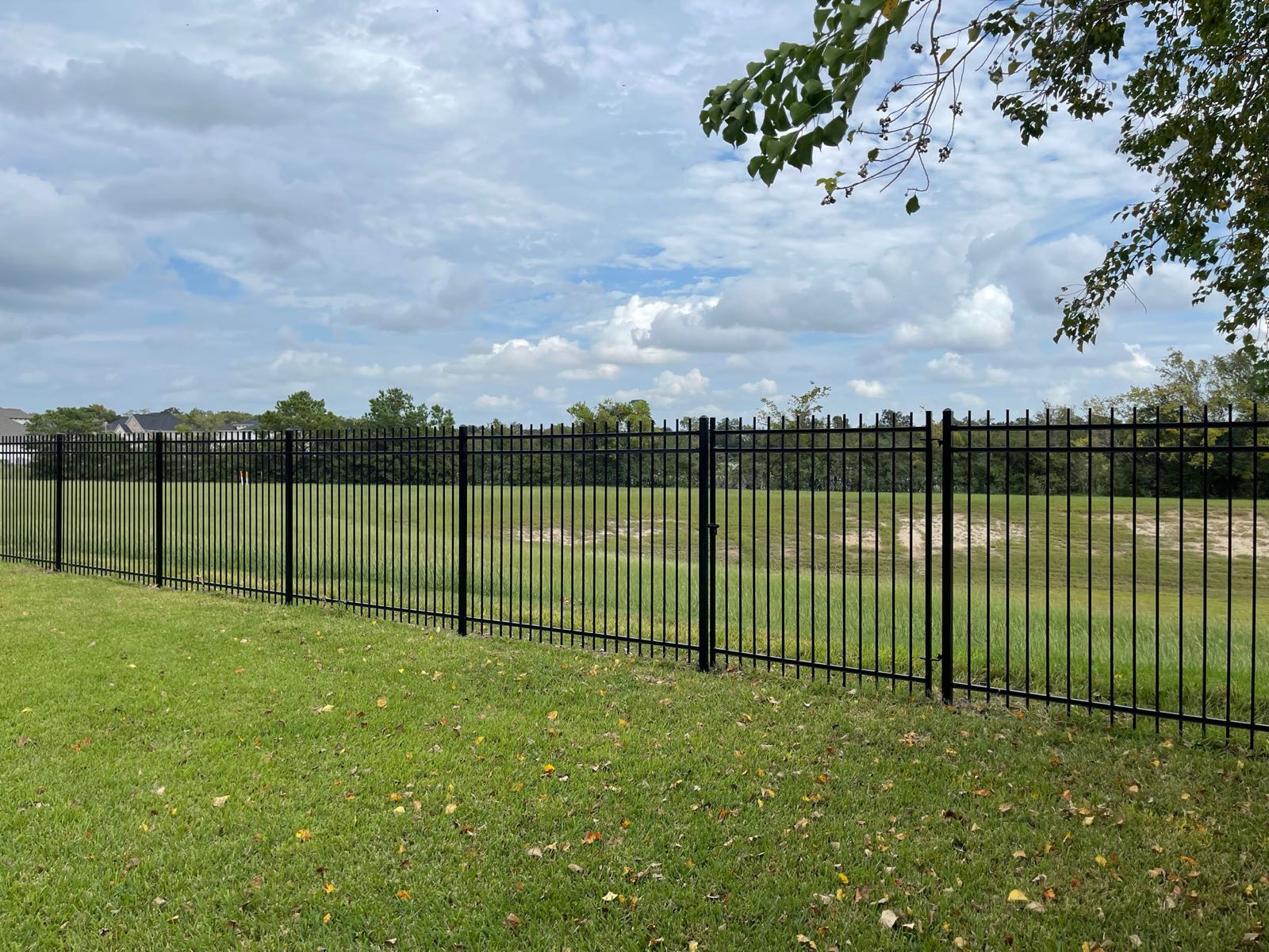 Iron fencing photo 5