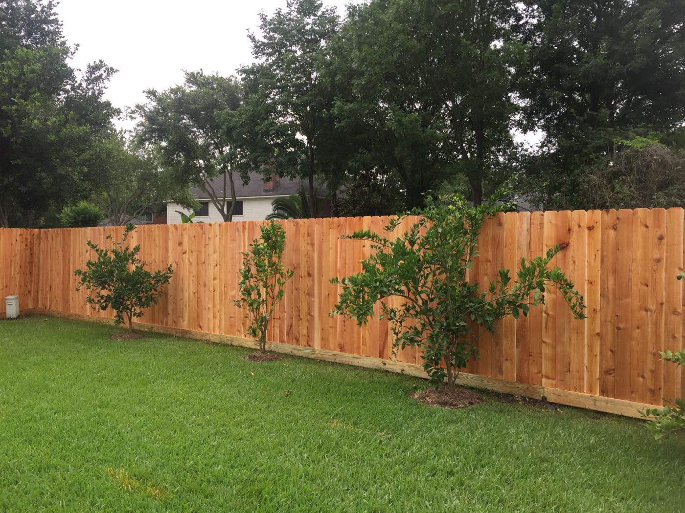 Wood fencing photo 3